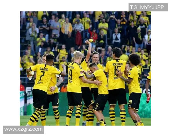 多特蒙德逆转国米6-2精彩绝杀瞬间引发全场狂欢分析