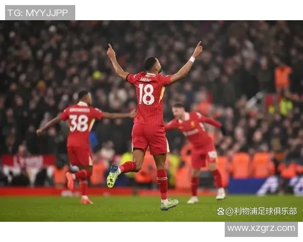 欧冠经典对决利物浦与热刺激战成和历史冷门引发全场沸腾